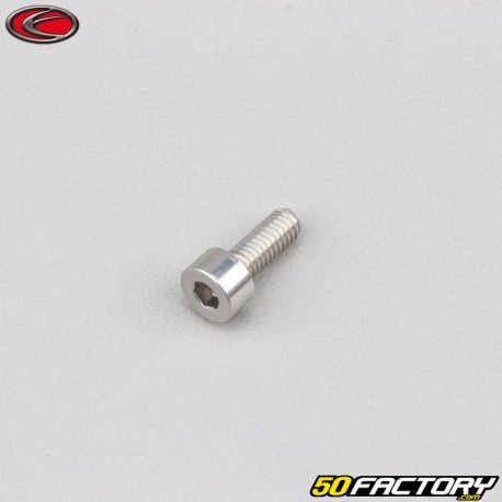 4x10 mm screw BTR head Evotech gray (per unit)