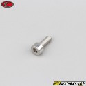 4x10 mm vite testa BTR grigio Evotech (per unità)