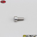 4x10 mm screw BTR head Evotech gray (per unit)