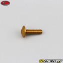 4x15 mm screw Evotech domed head BTR gold (single)