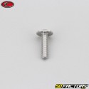 4x15 mm screw rounded head BTR Evotech gray (per unit)