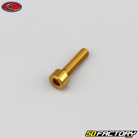 Tornillo de 4x15 mm cabeza BTR Evotech oro (simple)