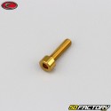 XNUMXxXNUMX mm Schraube BTR Kopf Evotech Gold (einzeln)