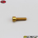 4x15 mm screw BTR head Evotech gold (single)