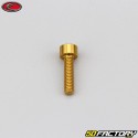 4x15 mm screw BTR head Evotech gold (single)