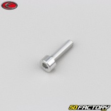 Vite 4x15 mm testa BTR grigio Evotech (per unità)