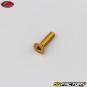 4x15 mm parafuso BTR cabeça escareada Evotech gold (simples)