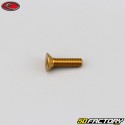 4x15 mm parafuso BTR cabeça escareada Evotech gold (simples)