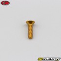 4x15 mm parafuso BTR cabeça escareada Evotech gold (simples)