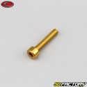 4x20 mm screw BTR head Evotech gold (single)