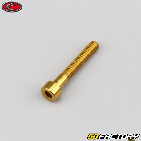 4x25 mm parafuso cabeça BTR Evotech gold (simples)