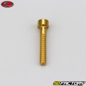 Tornillo de 4x25 mm cabeza BTR Evotech oro (simple)