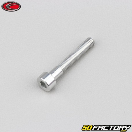 4x25 mm screw BTR head Evotech gray (per unit)