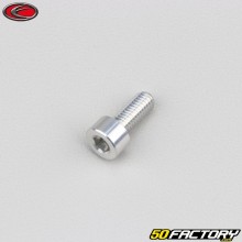 Schraube 5x12 mm BTR-Kopf Evotech grau (einzeln)