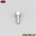 Tornillo de 5x12 mm cabeza BTR Evotech gris (por unidad)