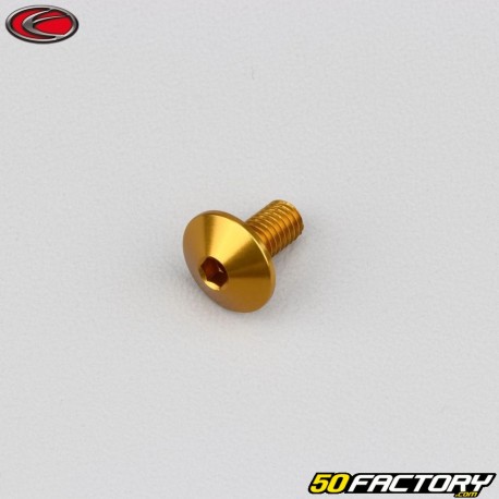 5x10 mm screw Evotech domed head BTR gold (single)