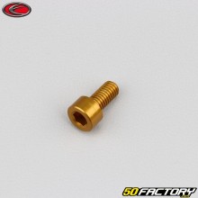 Vite 5x10 mm testa BTR Evotech dorato (per unità)