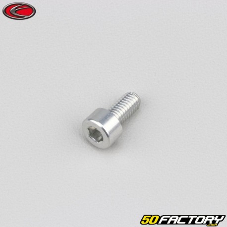 5x10 mm Schraube BTR Kopf Evotech grau (pro Einheit)