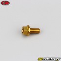 5x10 mm screw hex head Evotech gold base (single)