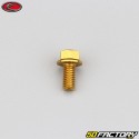 5x10 mm screw hex head Evotech gold base (single)