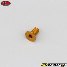 5x10 mm screw BTR countersunk head Evotech gold (single)