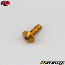 Parafuso 5x15 mm BTR cabeça abobadada Evotech dourado (por unidade)