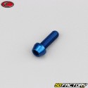 5x15 mm screw blue Evotech conical BTR head (single)