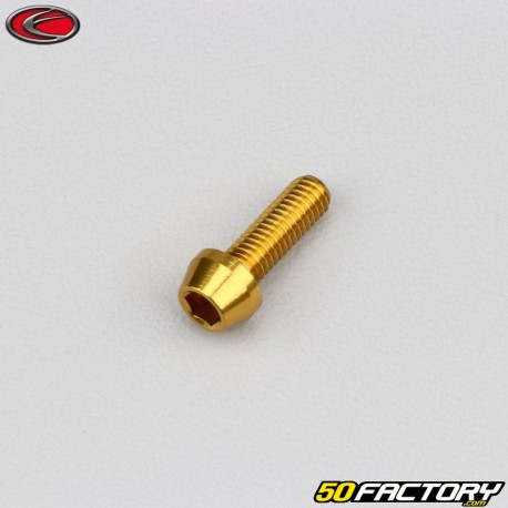 5x15 mm screw conical BTR head Evotech gold (single)