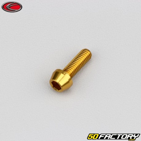 5x15 mm Schraube konischer BTR-Kopf Evotech Gold (einzeln)