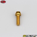 5x15 mm Schraube konischer BTR-Kopf Evotech Gold (einzeln)