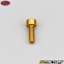 5x15 mm screw BTR head Evotech gold (single)