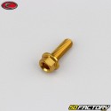 5x15 mm vite testa esagonale Evotech base oro (singola)