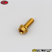 Vite 5x15 mm testa esagonale base Evotech dorato (per unità)