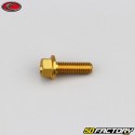 5x15 mm vite testa esagonale Evotech base oro (singola)