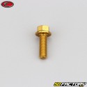 5x15 mm vite testa esagonale Evotech base oro (singola)