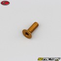 5x15 mm parafuso BTR cabeça escareada Evotech gold (simples)