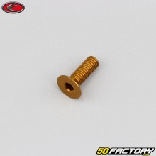 Parafuso 5x15 mm BTR cabeça escareada Evotech dourado (por unidade)