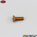 5x15 mm screw BTR countersunk head Evotech gold (single)