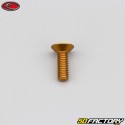 5x15 mm parafuso BTR cabeça escareada Evotech gold (simples)