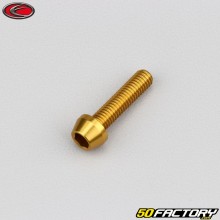 5x20 mm screw conical BTR head Evotech gold (single)