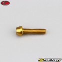 5x20 mm screw conical BTR head Evotech gold (single)