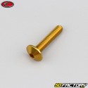 5x25 mm screw Evotech domed head BTR gold (single)