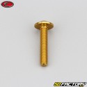 5x25 mm screw Evotech domed head BTR gold (single)