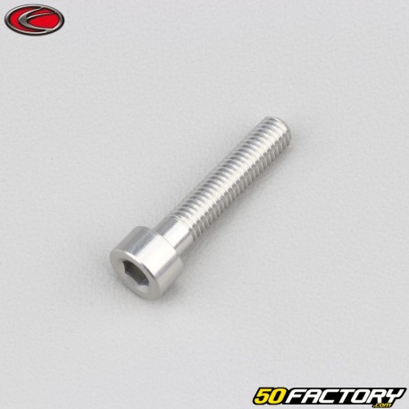 5x25 mm screw BTR head Evotech gray (per unit)