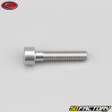 5x25 mm screw BTR head Evotech gray (per unit)