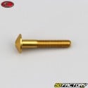 Vite da 5x30 mm Testa bombata Evotech BTR oro (singola)