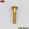 5x30 mm parafuso Evotech cabeça abobadada BTR ouro (simples)