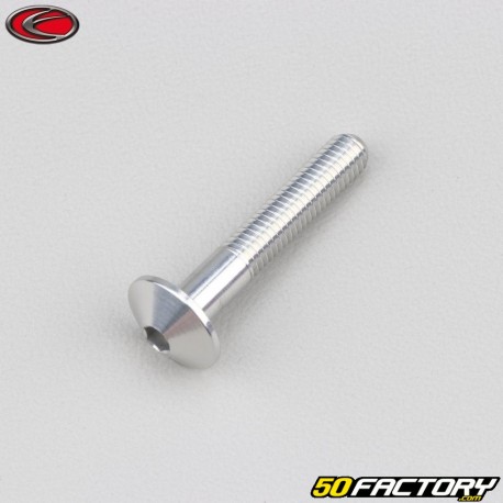 Tornillo cabeza redonda BTR Evotech gris de 5x30 mm (por unidad)