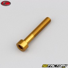 Tornillo cabeza BTR Evotech dorado de 5x30 mm (por unidad)