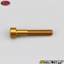 5x30 mm screw BTR head Evotech gold (single)